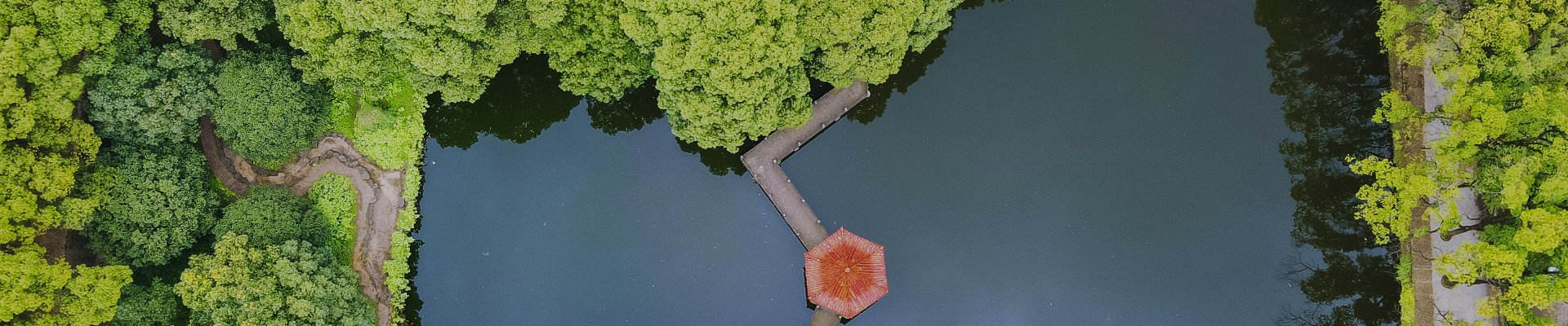 学校首页