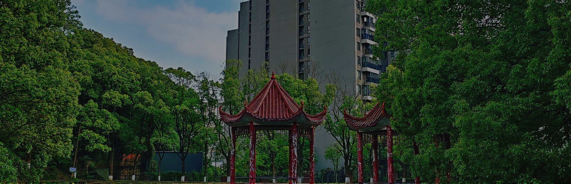 本网讯（通讯员